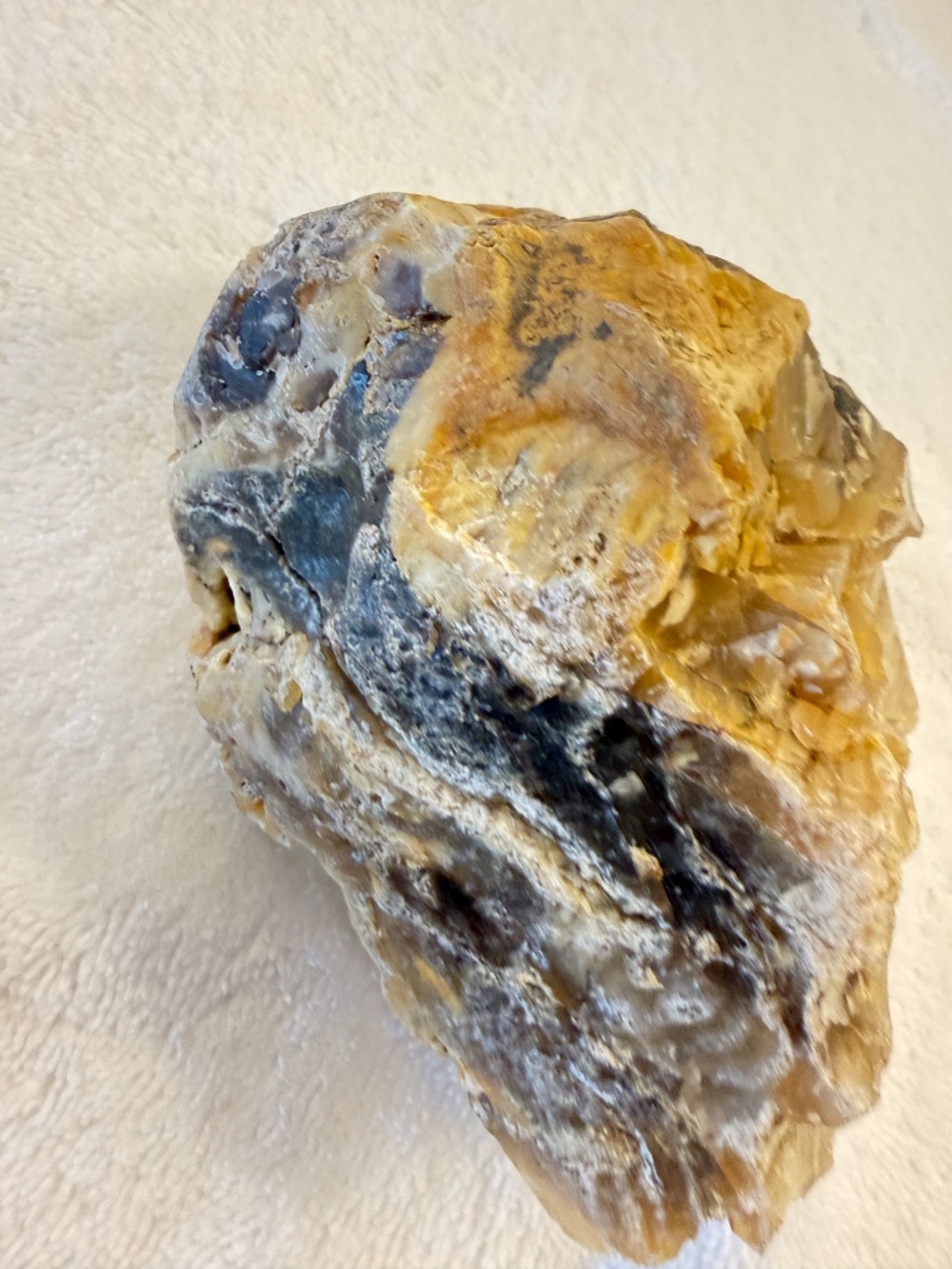 Where Is This From? Big Specimen of Petrified Wood - Picture 6 of 10